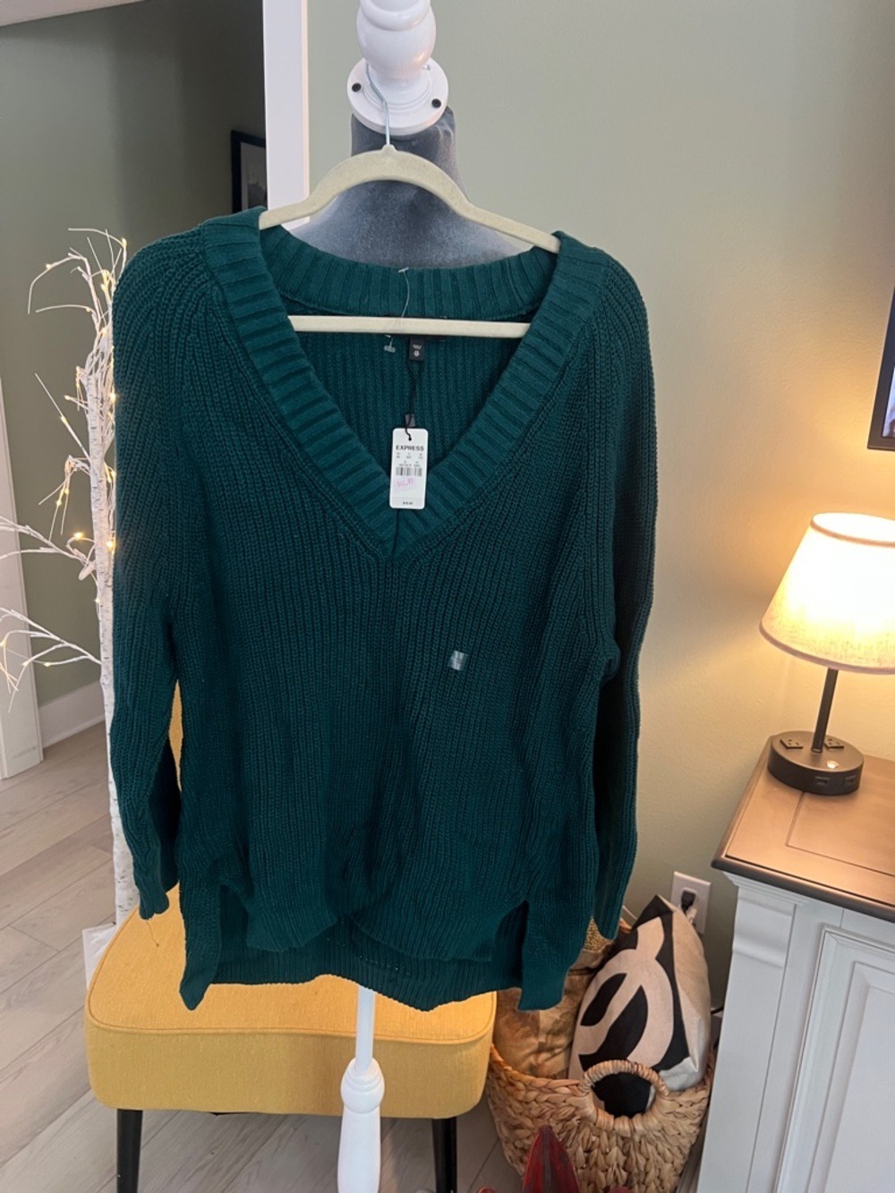 Express Deep Teal V-Neck Knit Sweater - Women's